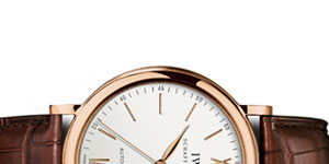 Watch Polishing